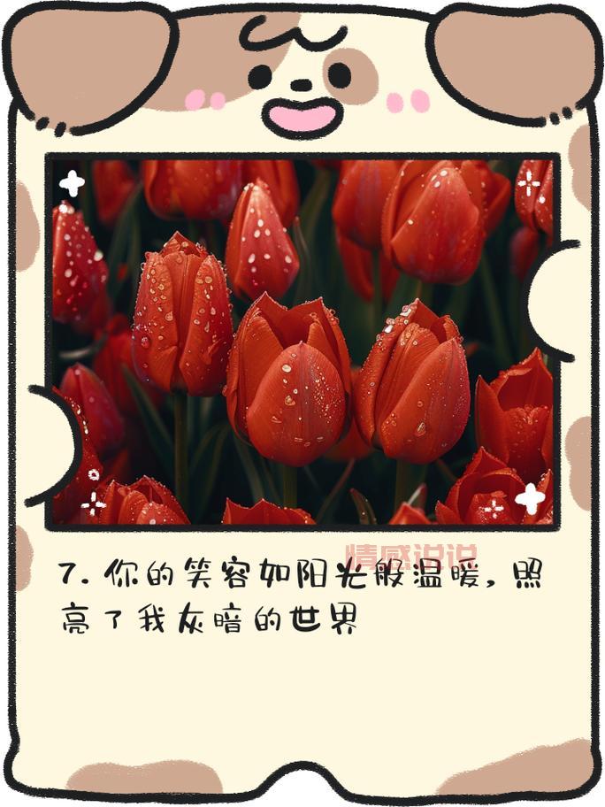 汇聚最新语录说说情感,品味心灵共鸣