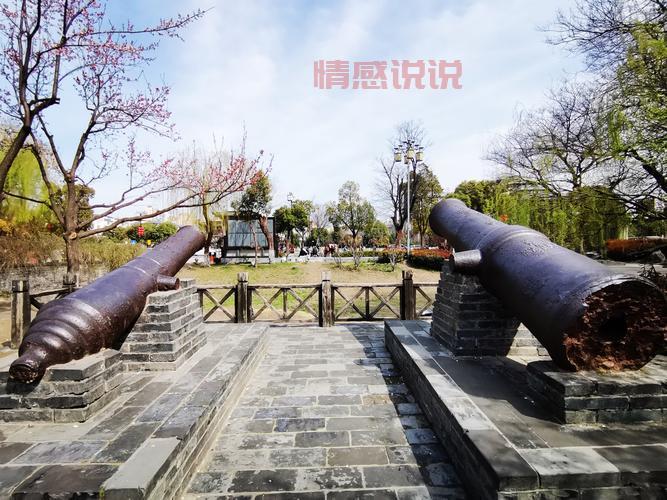 探索大学城:为什么这里被称为炮城?