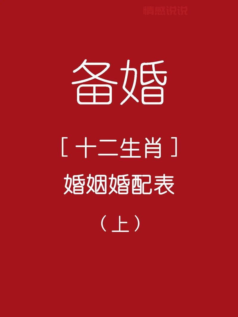 十二生肖婚姻属相配对大全很准,助你找到真爱