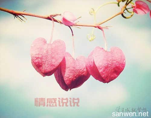 情感说说和图：深情告白与心灵共鸣