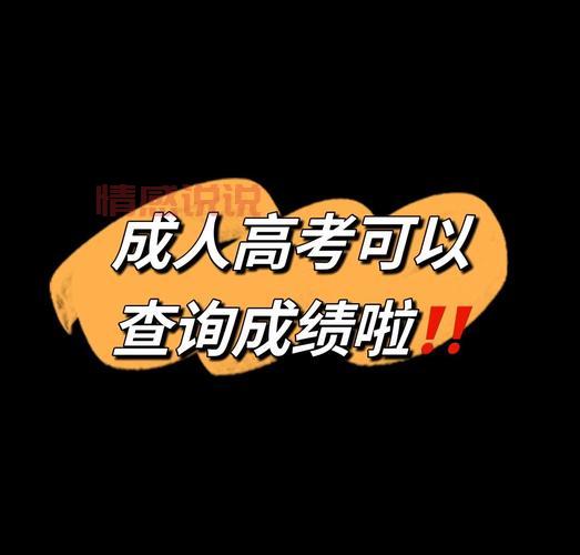 [2022年成人高考成绩查询时间及入口汇总，快速查分指南]