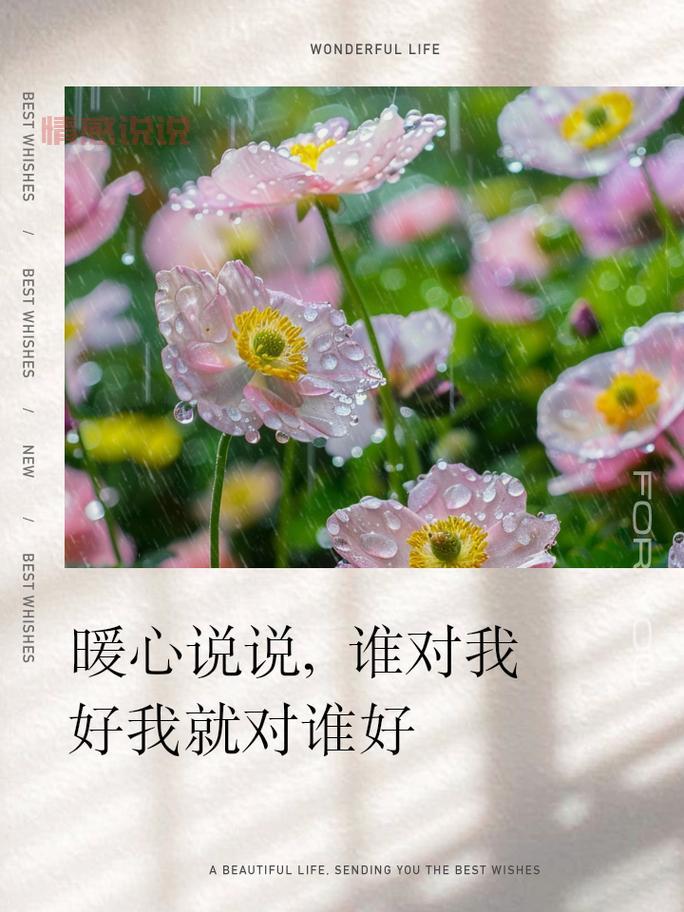 十几年的朋友情谊,最深的感慨与暖心说说