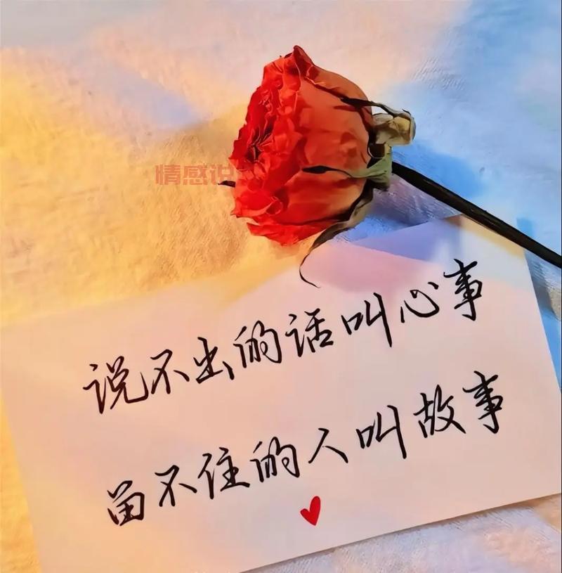 情感语录说说配图:让文字与图片一起诉说心声