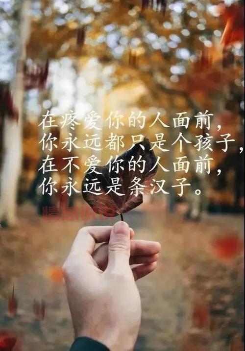 情感说说心情短语励志:让心灵充满力量的唯美句子