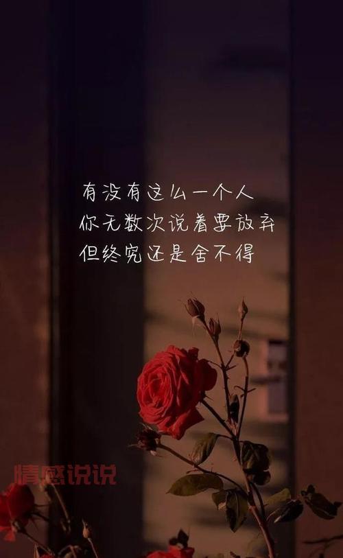 深刻的心情感慨说说:生活的无奈与心灵的宁静