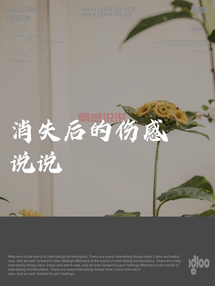 伤感情感句子说说心情：每一句都道尽无尽的思念与苦痛