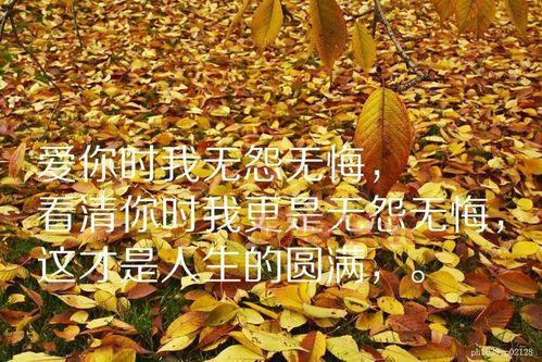 情感说说简短感人：细腻真挚的心灵触碰