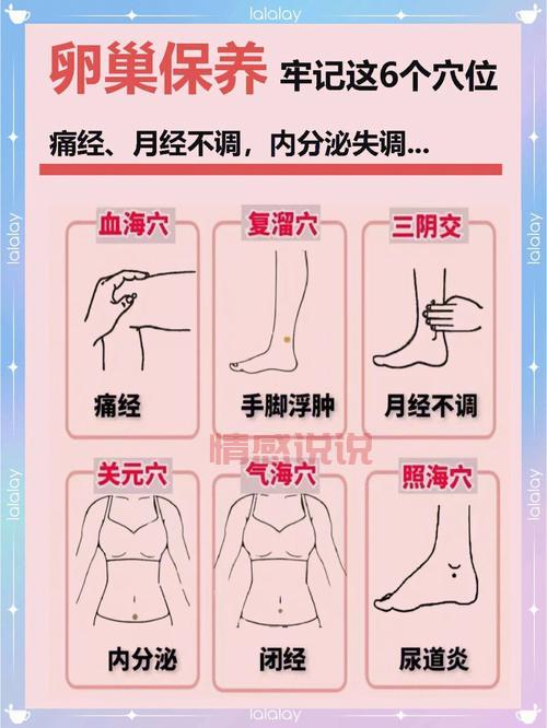 女性穴位图解:精准定位常用保健穴位