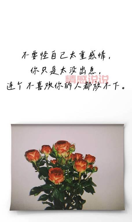 情感和感情说说图片