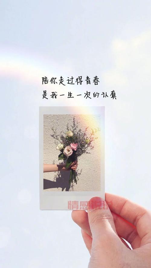 微信说说情感句子大全：治愈心灵的温暖语录