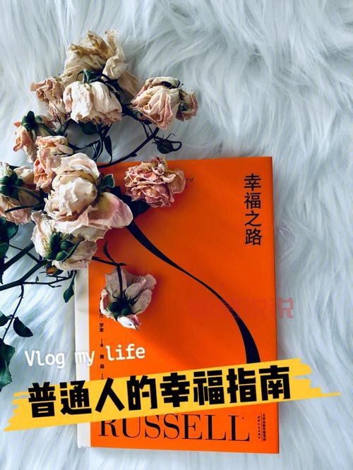 二婚女性的幸福之路:为何有些人能重新获得幸福