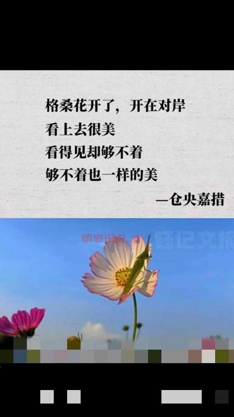 抖音情感语录短句精选：爱与思念的心灵震撼