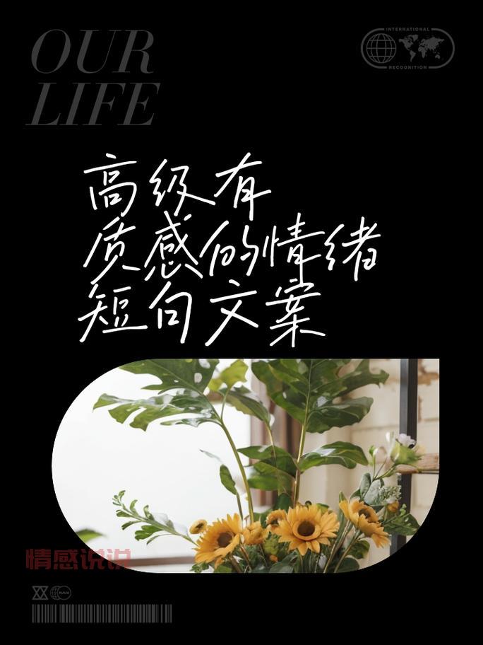 情感文案:适合朋友圈的说说精选,触动心灵的短句