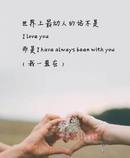 寻找爱情的句子唯美短句：每一句都触动心灵