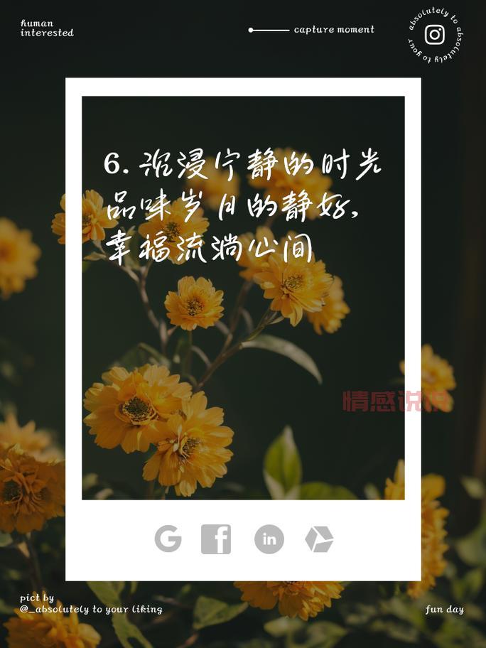 心情好情感说说：感受生活的美好与爱，心情如诗