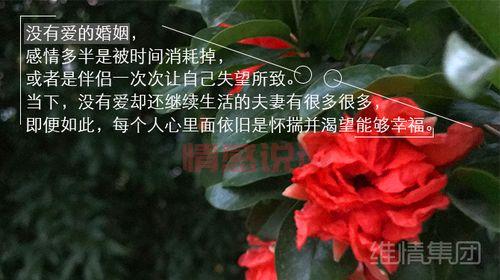 出轨情感说说:那些背叛让人心碎的瞬间