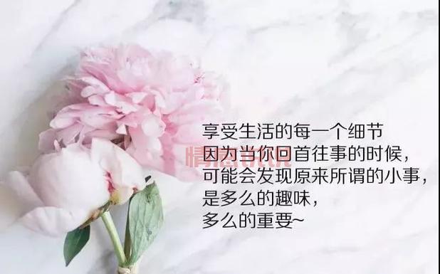 微信说说心情感悟人生:透视人生的哲理与感悟