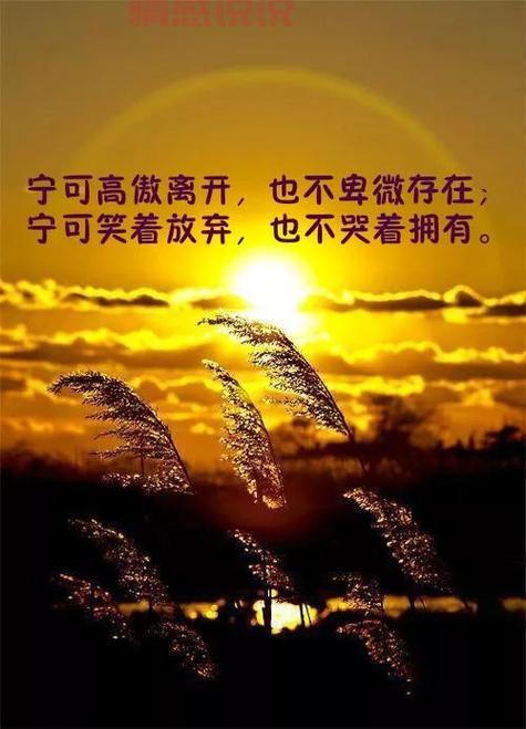 微信说说心情感悟人生:透视人生的哲理与感悟