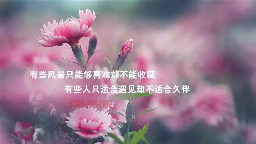 微信说说心情感悟人生:透视人生的哲理与感悟