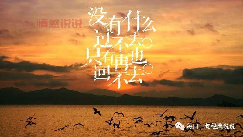 情感说说大全短句暖心：暖心话语让你心灵共鸣