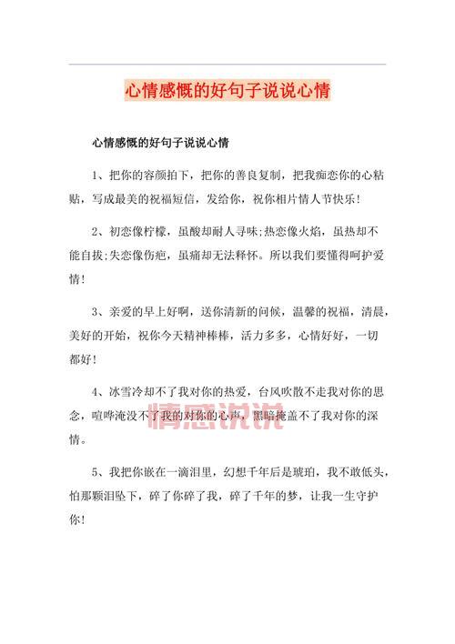 精选心情语录说说:让情感触动心灵的经典句子