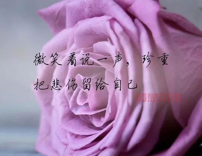 心情伤感短句:走过伤痛后的心灵感悟