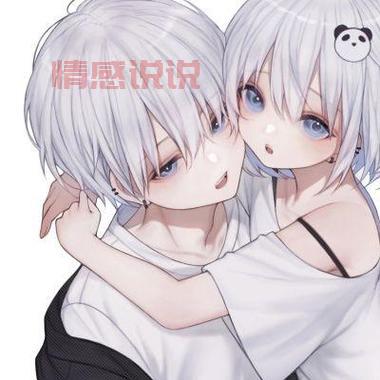 体验2021最新版本QQ：更高效的聊天与社交体验