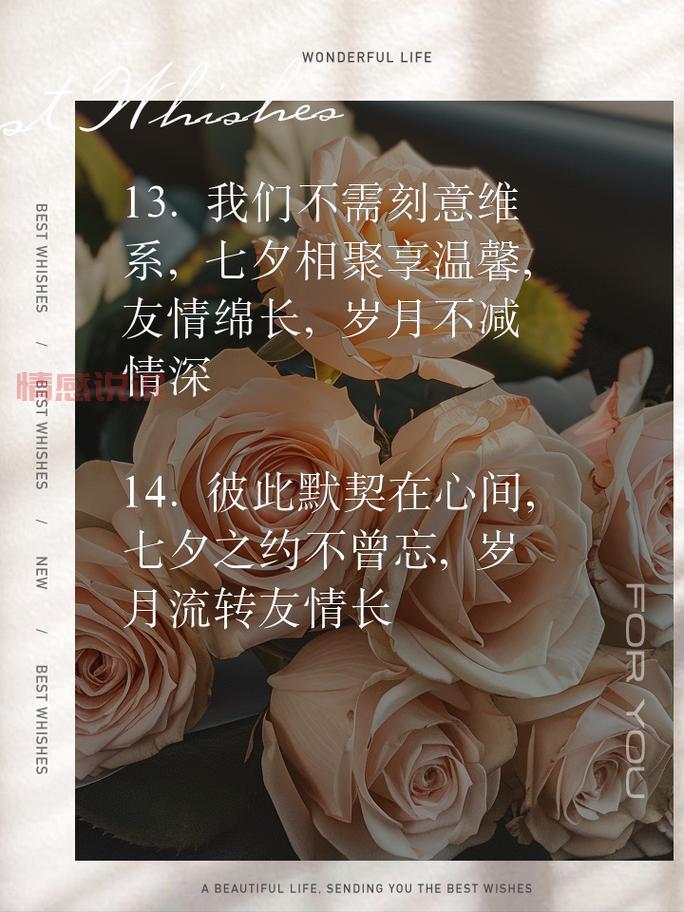 情感婚姻说说:婚姻中的爱与默契如何共存