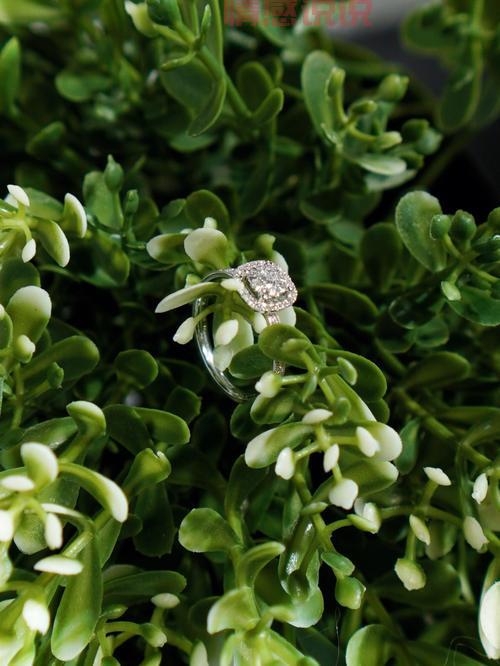 山东威海征婚平台推荐：百姓网助你实现真爱梦想