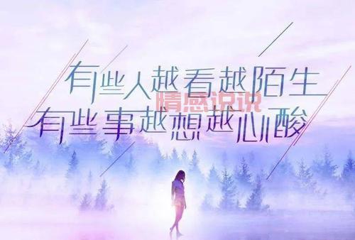 关于情感出轨的心情短语,揭示感情中的痛与无奈