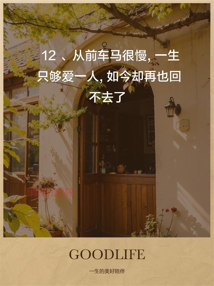 最打动人心的情感说说，揭示爱情中的真谛