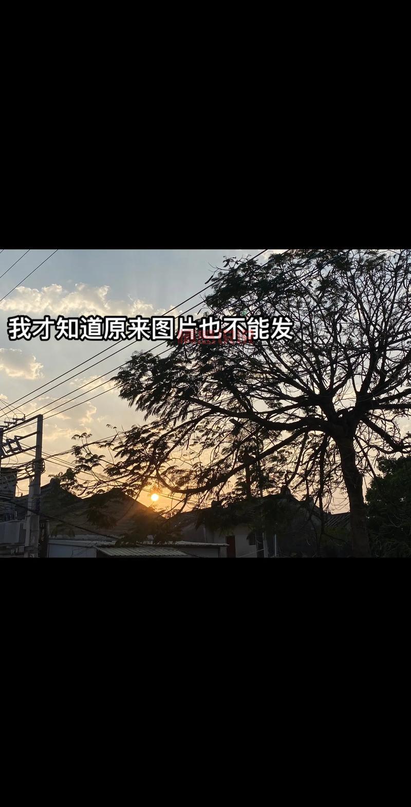 邯郸微信息平台:便捷获取邯郸本地招聘、房产、交友信息