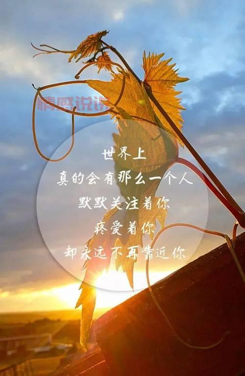 简短情感说说发朋友圈,轻松表达内心感受