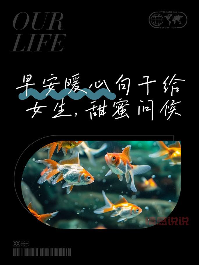 朋友圈早安说说情感：早安心情语录，温暖你的每个清晨