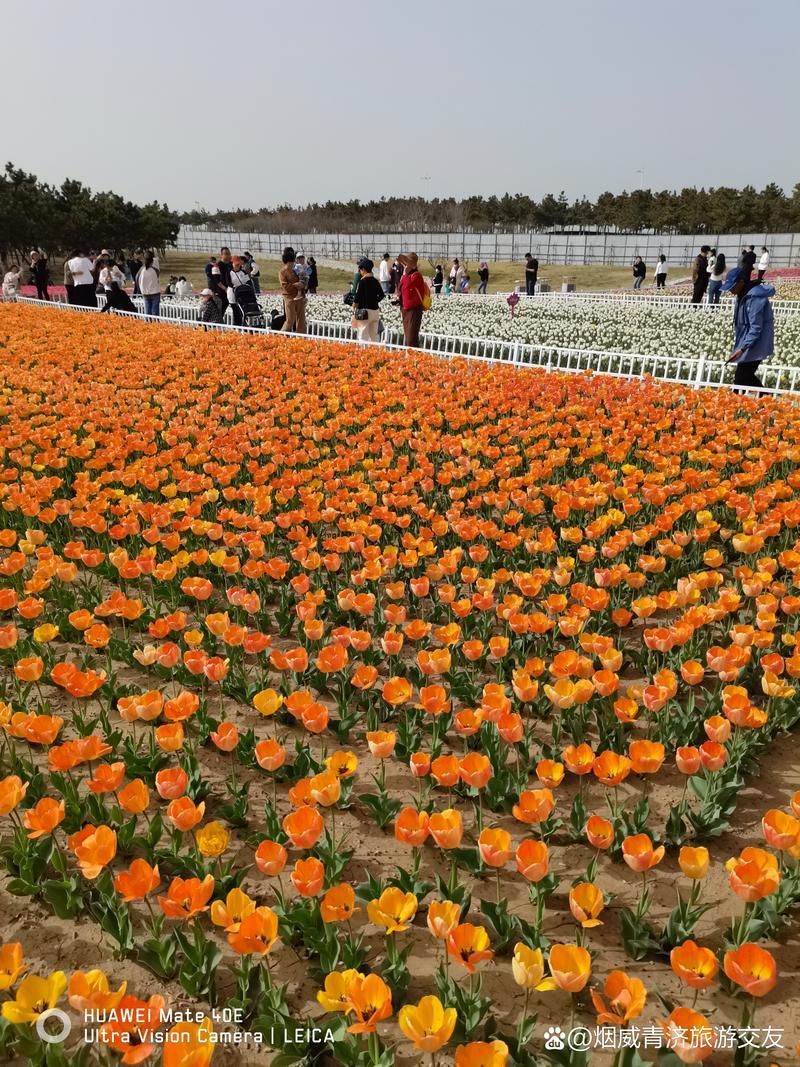 威海交友平台大全:让你轻松找到心仪对象