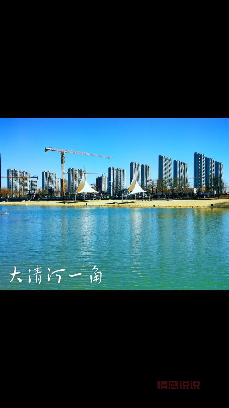 齐河在线:掌握齐河本地生活资讯与服务