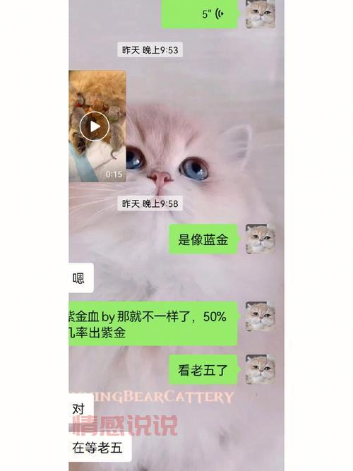 丘比特桥国际交友评价:真实靠谱还是骗局?