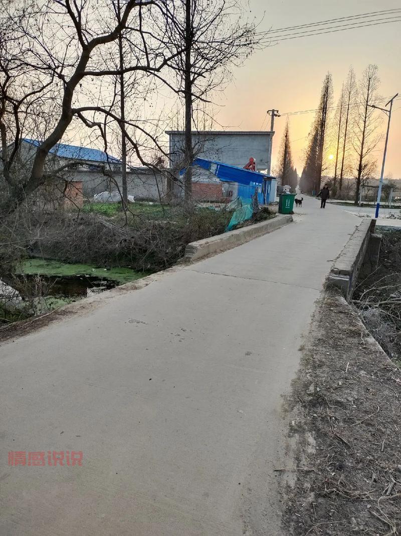 安徽淮南老年相亲网:帮您找到理想伴侣