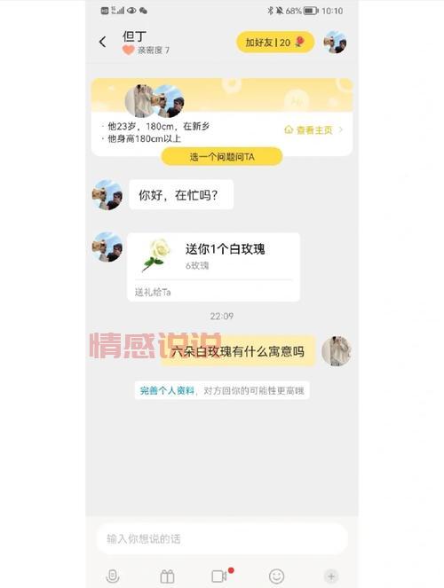 大埔相亲交友平台：助你找到心仪伴侣的最佳选择