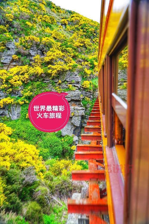 深圳追风户外活动推荐：畅享精彩旅行与探险体验