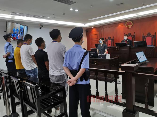 广饶马疃聂士朋等20人恶势力集团犯罪案件一审宣判