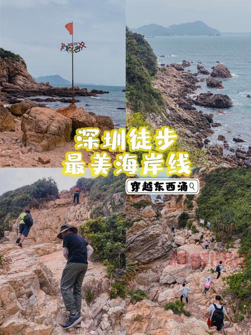 深圳火鸟户外活动召集:西冲露营、徒步、烧烤等精彩体验等你来!