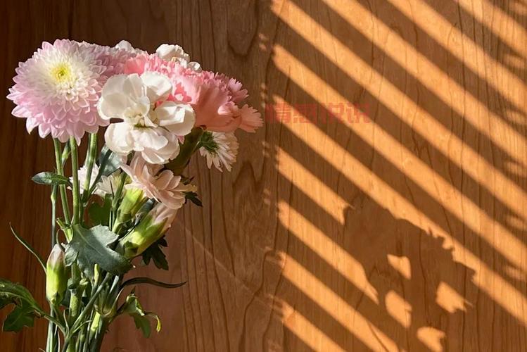 宁晋婚介网：邂逅理想伴侣，开启美好婚姻生活