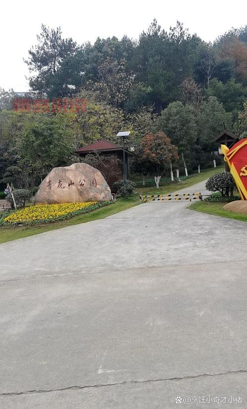 咸宁信息网手机版：便捷查看咸宁本地新闻与服务信息