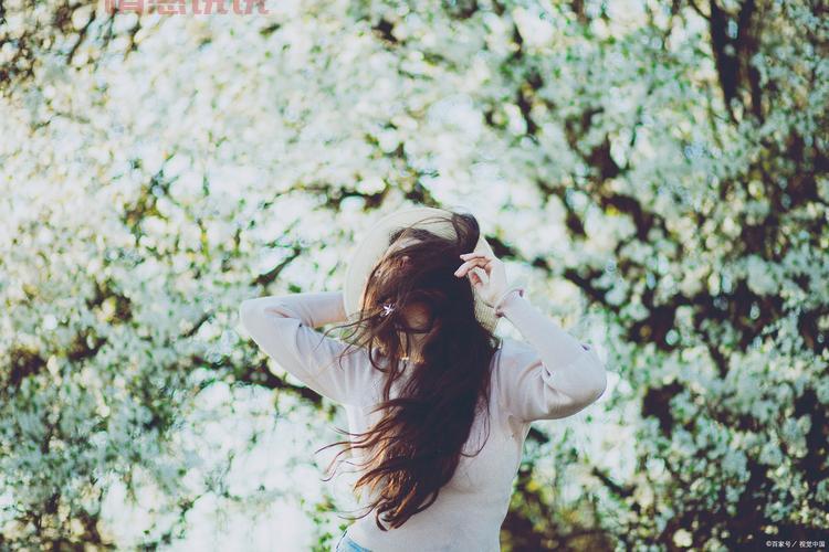 单身部落征婚:扫码加入,轻松匹配本地异性