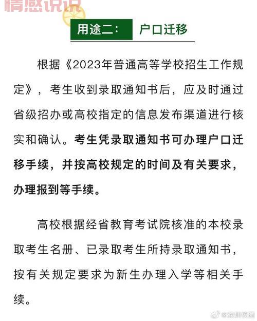 深圳招考网登录入口及使用指南