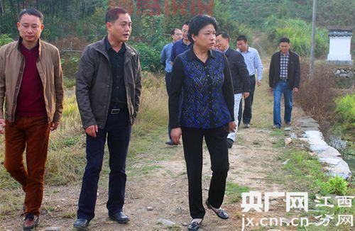 平顶山市委常委最新名单及主要人物介绍