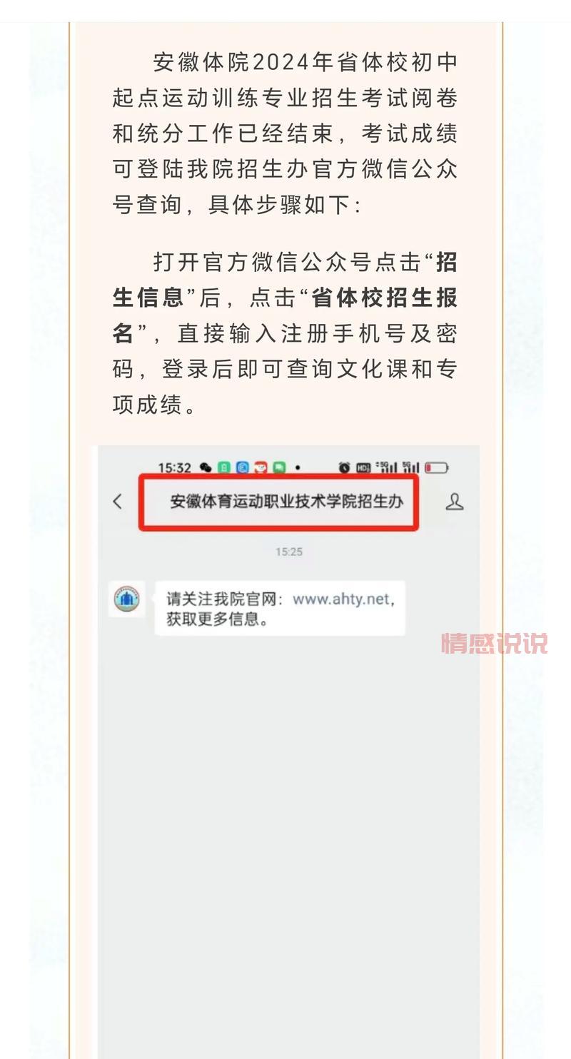 深圳招考网:2024年中考成绩查询及招生信息一站式服务