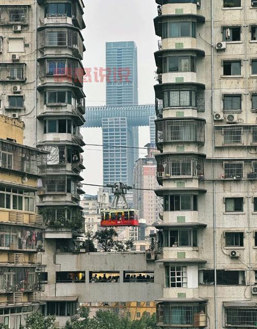 重庆同呈教育观音桥校区在哪里?地址电话报名方式全攻略