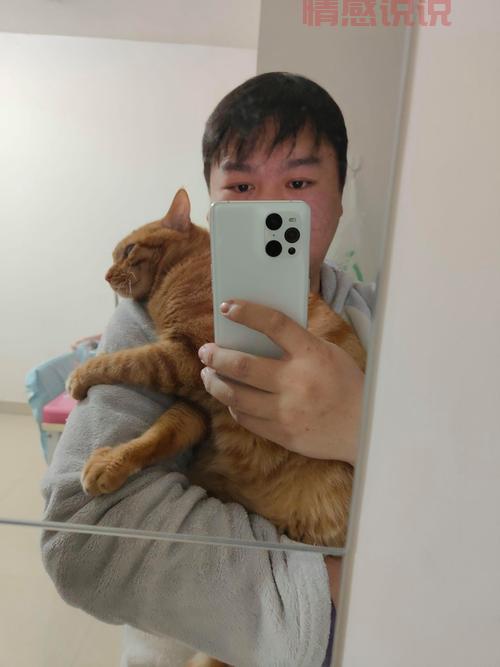 想在邯郸找Gay朋友?这几个交友App你一定要试试!